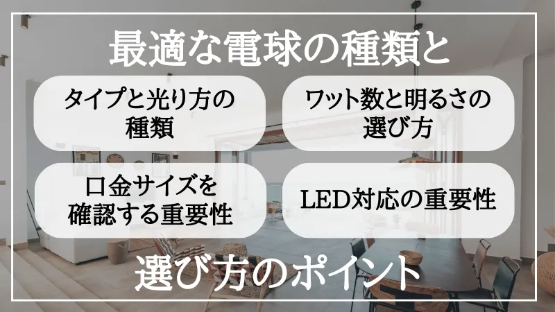 裸電球 とは