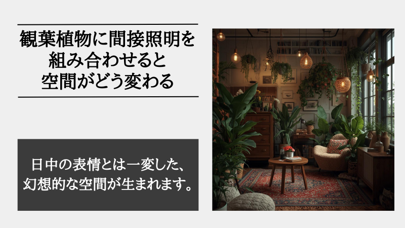 間接照明 観葉植物