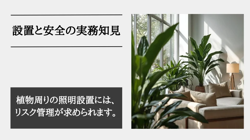 間接照明 観葉植物